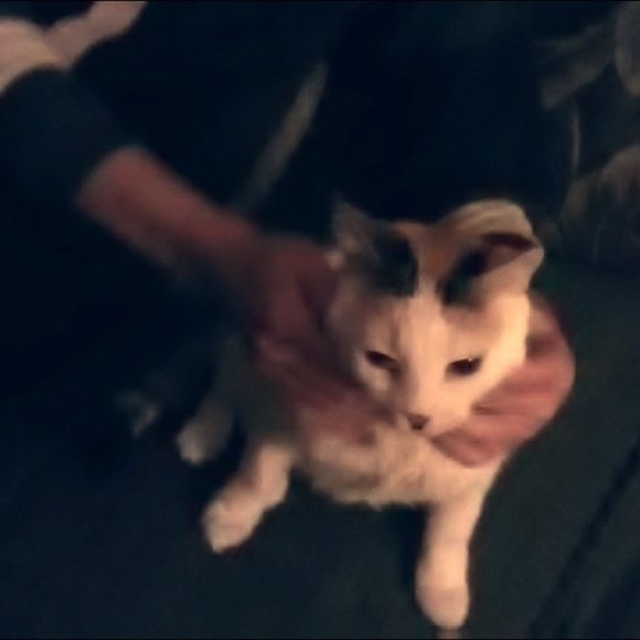 Meet your Posher, D and R - Picture 1 of 1